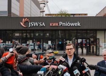The government did not accept the amendments to the Polish Order. “Technical reasons”.
